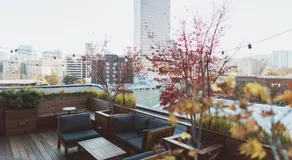 The Society Hotel - Image 4