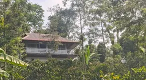 Coorg Misty Mountains Stay - Image 5