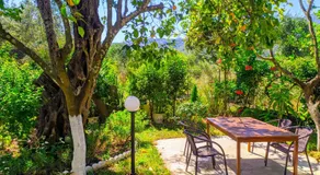 Harmony Garden - Image 4