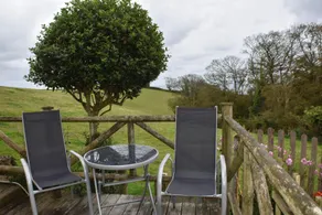 Frogwell - Image 3
