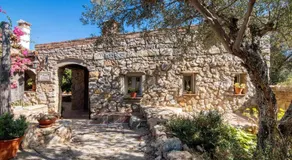 Monte Viana - Image 5