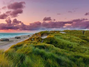 4 star holiday home in Ringkøbing - Image 4
