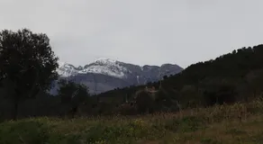 La Torreta - Image 5