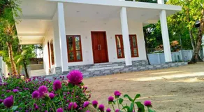 Coconut Garden - Image 5