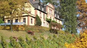 Wein Lodge Durbach - Josephsberg - Image 4