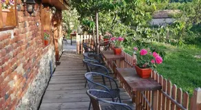 Borlova Muntele Mic - Image 3