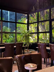 Green forest resort - Image 3