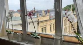 Wohnung mit Blick über Potsdam - Image 5