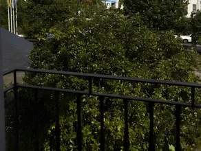 Hotel Rico - Image 4