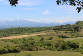 Gîte Rural au Domaine de la Trille - Image 3