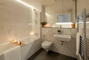 Large Luxurious Studio, Dublin18 - Image 4