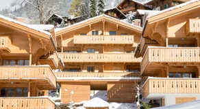 Panoramapark Soleil Chalet F Apt. \"Silbermond\" - Image 4