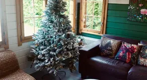 Tiny Botanic House - Image 2