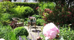B&B De Esdoorn - Image 3
