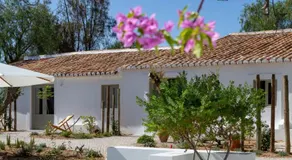 Âmago Guesthouse - Image 4