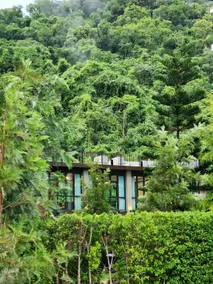 A2 at Forest Khaoyai - Image 3