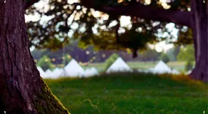 Edinburgh Festival Glamping By Stay Social Stays - Image 2