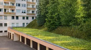 Gemeinschaftspool I Schwarzwald I Berglage - Image 5