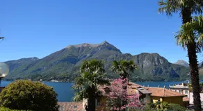Casina - Image 5