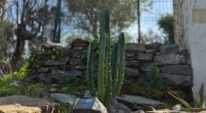 Villa Saint Jacques sur les hauteurs de Bastia - Image 5