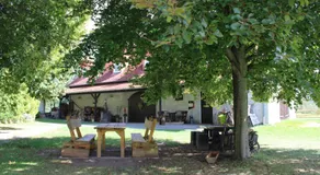 Hotel Hohe Reuth - Image 5