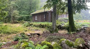 Sustainable Cabin In Beech Forest At Mellby Kask - Image 3