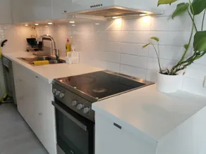 The White and Black House - Image 5