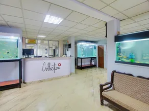 Collection O Maizons Lakeview Resort - Image 4