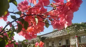 Joel's Garden 悠爾庭園古厝民宿 - Image 5