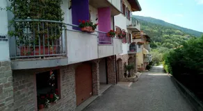 B&B agli Ulivi - Image 5