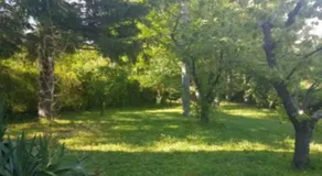 Villa Al Bosco - Image 3