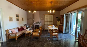 Nidi House - Image 3