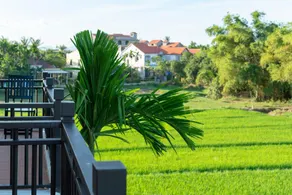 Lama Homestay Hoi An - Image 5