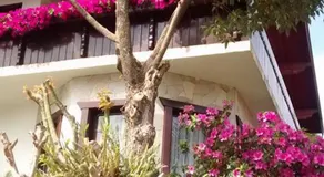 Hospedaria Gãstehaus Enzian - Image 4