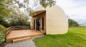 OMG!The Golden Egg - Image 4