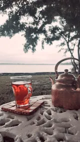 Olam On The Lake - Image 4