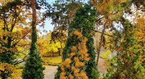 Vienna's Simmering Area, Budget-Friendly 2BR Apt with WIFI & TV - Image 4