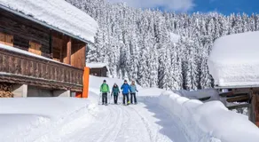 Lodge Schönfeld - Image 4
