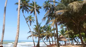 Ankobra Beach Resort - Image 4