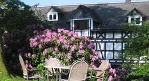 Pension Hampel - Image 5