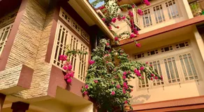 Bougainvillea - Image 4