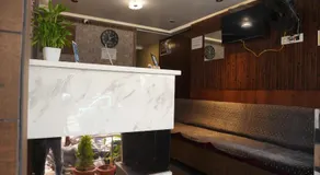 Grand sapphire Mysore - Image 3