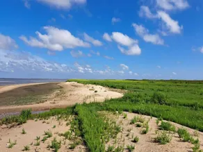 Seaside Charm in Havneby - By Traum Ferienwohnungen - Image 5