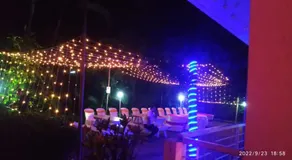 Solace Garden - Image 4