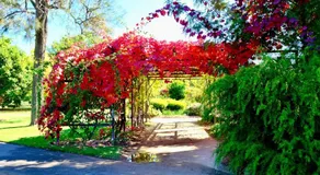 White House Bendigo Garden Retreat - Image 5