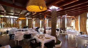 Evenia Zoraida Garden - Image 3