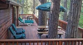 Squirrel's Nest - Image 3