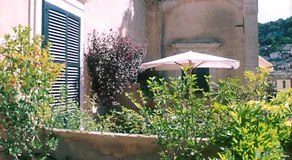 L'Orangerie di Cartia Giovanni - Image 4
