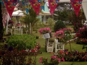 Chiangkhan Gallery Resort - Image 5