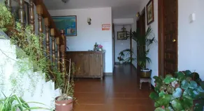 Montañes - Image 4